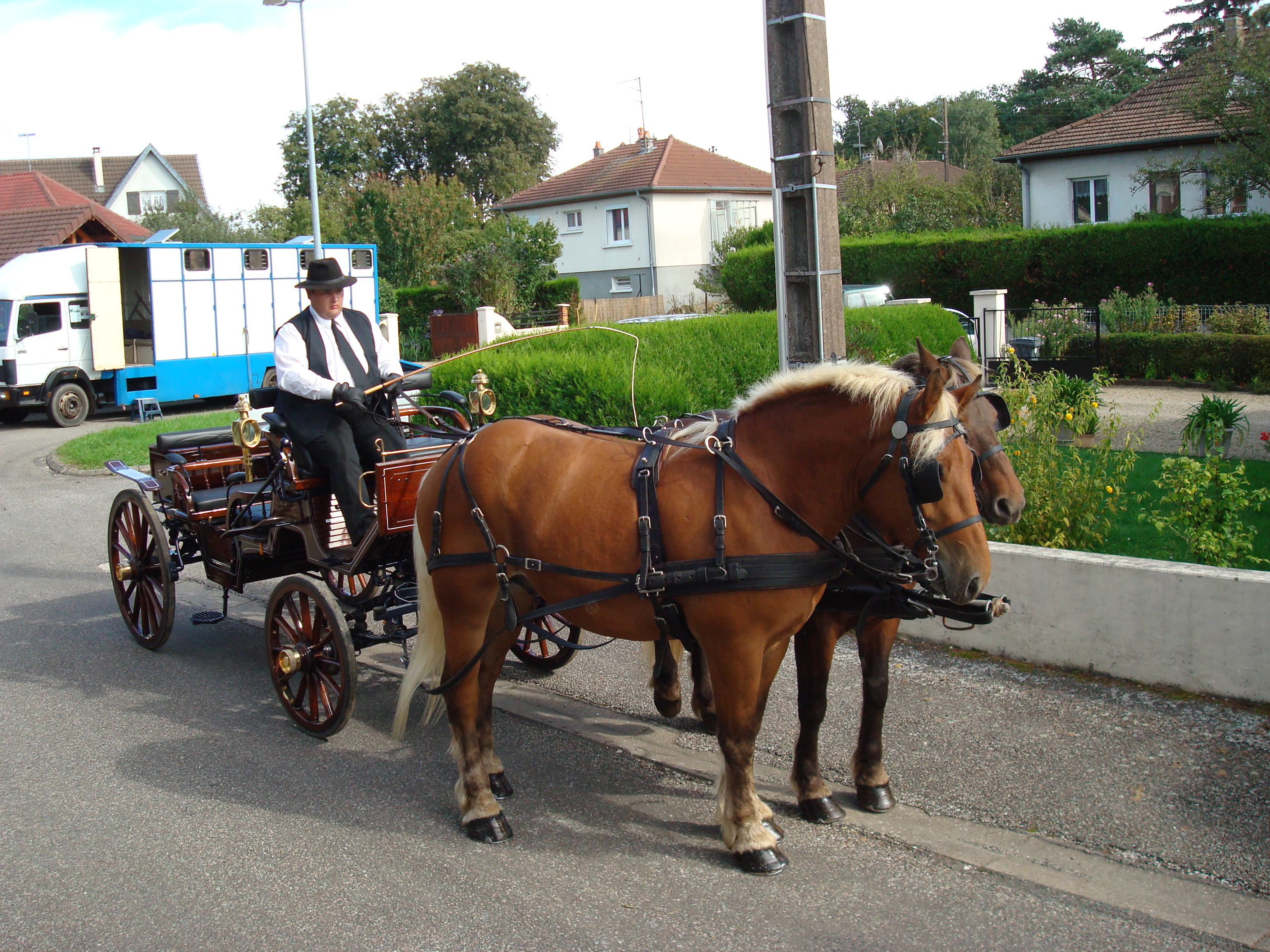 Location de calèche DECOUVERTE....AU RYTHME DES CHEVAUX COMTOIS!!